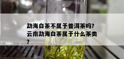 勐海白茶不属于普洱茶吗？云南勐海白茶属于什么茶类？