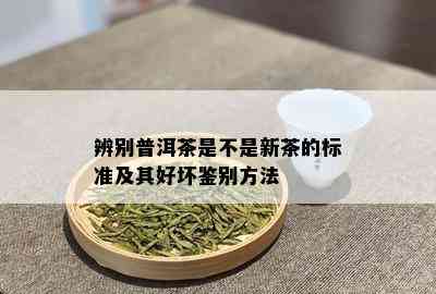 辨别普洱茶是不是新茶的标准及其好坏鉴别方法