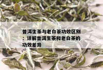 普洱生茶与老白茶功效区别：详解普洱生茶和老白茶的功效差异