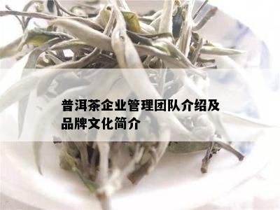 普洱茶企业管理团队介绍及品牌文化简介