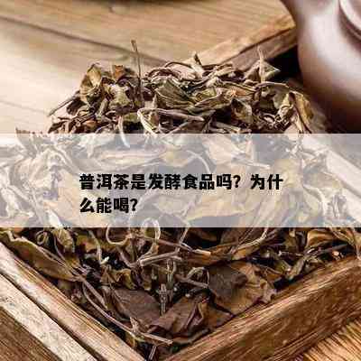 普洱茶是发酵食品吗？为什么能喝？