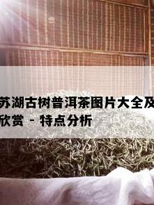 苏湖古树普洱茶图片大全及欣赏 - 特点分析