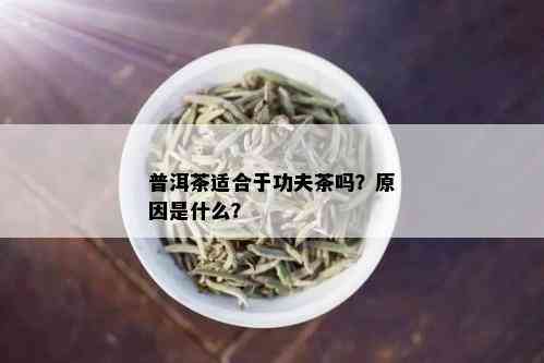 普洱茶适合于功夫茶吗？原因是什么？