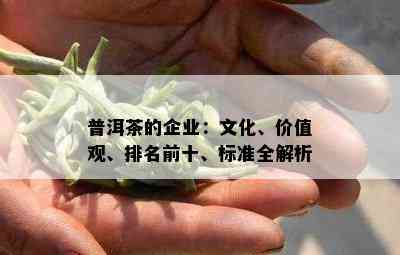 普洱茶的企业：文化、价值观、排名前十、标准全解析