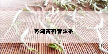 苏湖古树普洱茶