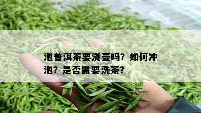 泡普洱茶要浇壶吗？如何冲泡？是否需要洗茶？