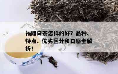 福鼎白茶怎样的好？品种、特点、优劣区分和口感全解析！