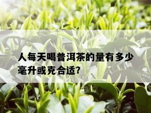 人每天喝普洱茶的量有多少毫升或克合适？