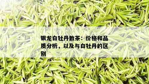 银龙白牡丹散茶：价格和品质分析，以及与白牡丹的区别