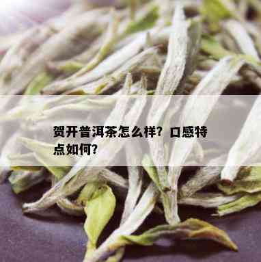 贺开普洱茶怎么样？口感特点如何？