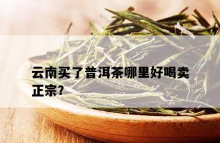 云南买了普洱茶哪里好喝卖正宗？