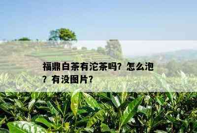 福鼎白茶有沱茶吗？怎么泡？有没图片？