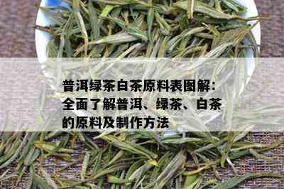 普洱绿茶白茶原料表图解：全面了解普洱、绿茶、白茶的原料及制作方法