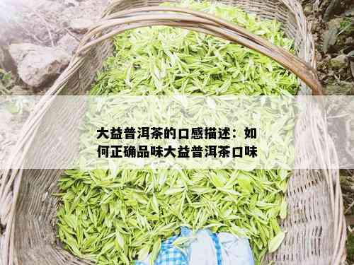 大益普洱茶的口感描述：如何正确品味大益普洱茶口味