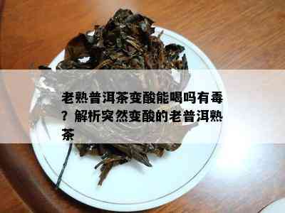 老熟普洱茶变酸能喝吗有？解析突然变酸的老普洱熟茶