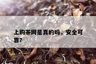 上购茶网是真的吗，安全可靠？