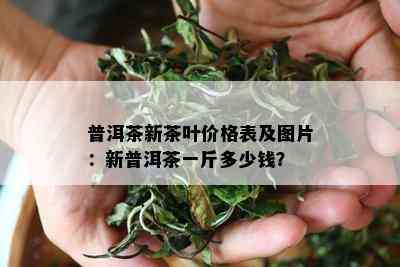 普洱茶新茶叶价格表及图片：新普洱茶一斤多少钱？