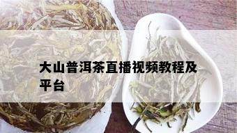 大山普洱茶直播视频教程及平台