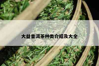 大益普洱茶种类介绍及大全