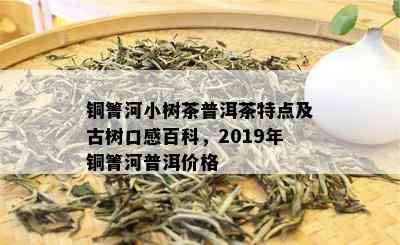 铜箐河小树茶普洱茶特点及古树口感百科，2019年铜箐河普洱价格