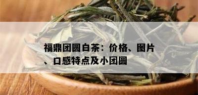 福鼎团圆白茶：价格、图片、口感特点及小团圆