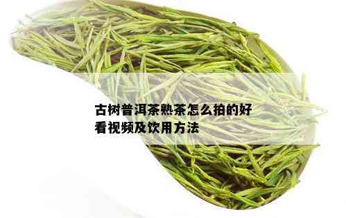 古树普洱茶熟茶怎么拍的好看视频及饮用方法