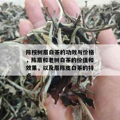 陈桉树眉白茶的功效与价格，陈眉和老树白茶的价值和效果，以及眉陈皮白茶的特点