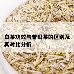 白茶功效与普洱茶的区别及其对比分析