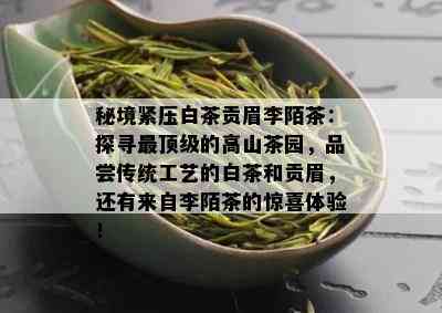 秘境紧压白茶贡眉李陌茶：探寻最顶级的高山茶园，品尝传统工艺的白茶和贡眉，还有来自李陌茶的惊喜体验！