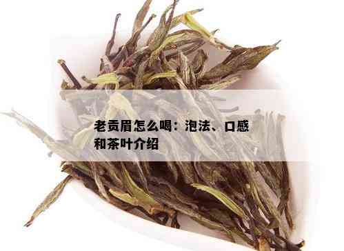 老贡眉怎么喝：泡法、口感和茶叶介绍