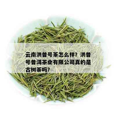 云南洪普号茶怎么样？洪普号普洱茶业有限公司真的是古树茶吗？