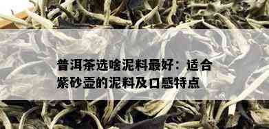 普洱茶选啥泥料更好：适合紫砂壶的泥料及口感特点