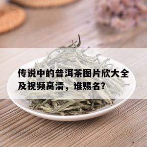 传说中的普洱茶图片欣大全及视频高清，谁赐名？