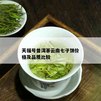 天福号普洱茶云南七子饼价格及品质比较