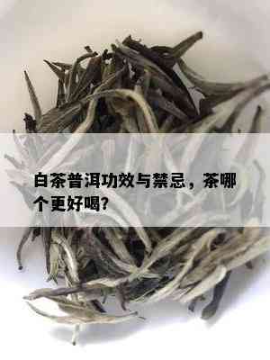 白茶普洱功效与禁忌，茶哪个更好喝？