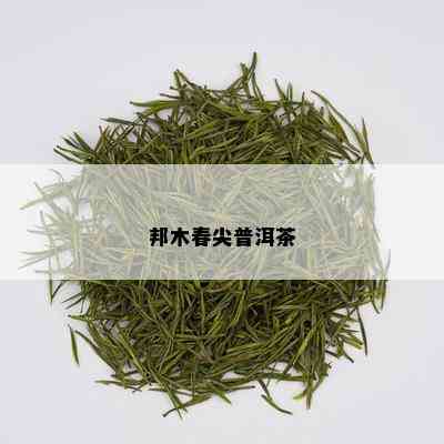 邦木春尖普洱茶