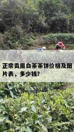 正宗贡眉白茶茶饼价格及图片表，多少钱？