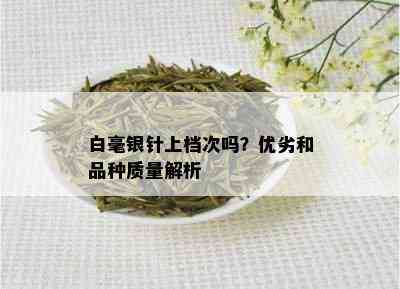 白毫银针上档次吗？优劣和品种质量解析