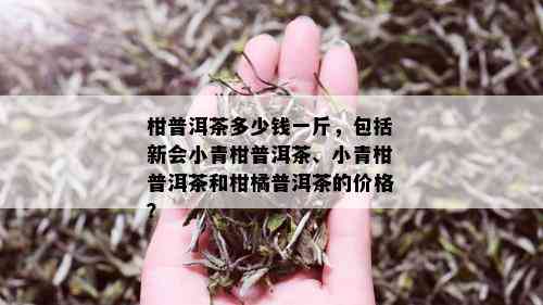 柑普洱茶多少钱一斤，包括新会小青柑普洱茶、小青柑普洱茶和柑橘普洱茶的价格？