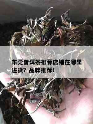 东莞普洱茶推荐店铺在哪里进货？品牌推荐！