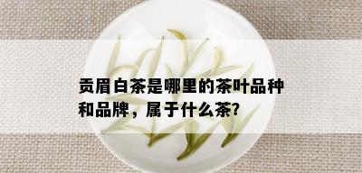 贡眉白茶是哪里的茶叶品种和品牌，属于什么茶？