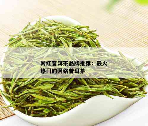 网红普洱茶品牌推荐：最火热门的网络普洱茶