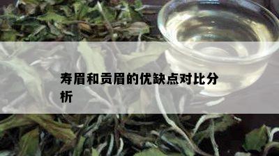 寿眉和贡眉的优缺点对比分析