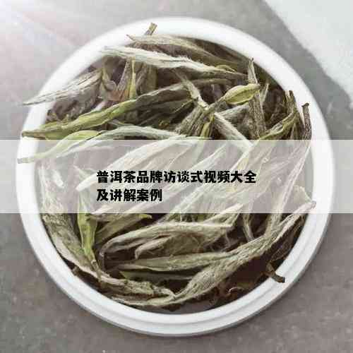 普洱茶品牌访谈式视频大全及讲解案例