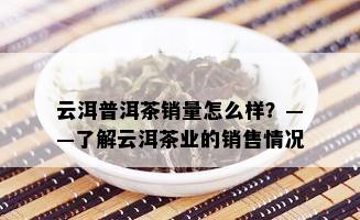 云洱普洱茶销量怎么样？——了解云洱茶业的销售情况