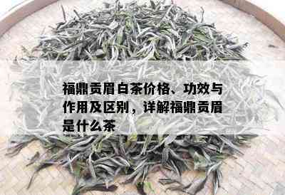 福鼎贡眉白茶价格、功效与作用及区别，详解福鼎贡眉是什么茶