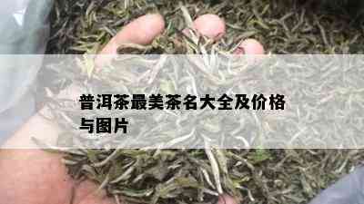 普洱茶最美茶名大全及价格与图片