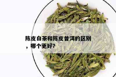 陈皮白茶和陈皮普洱的区别，哪个更好？