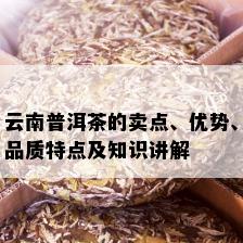 云南普洱茶的卖点、优势、品质特点及知识讲解