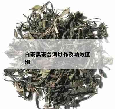 白茶黑茶普洱炒作及功效区别